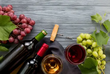 Slow Wine Fair