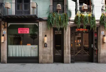 chic&basic Habana Hoose