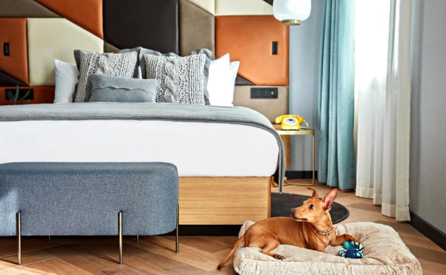 Kimpton Vividora Hotel, an IHG Hotel