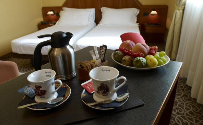 Hotel Montini Linate Airport