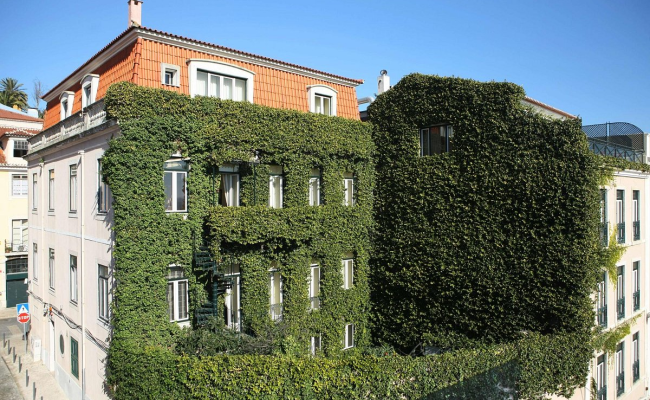 As Janelas Verdes - Lisbon Heritage Collection
