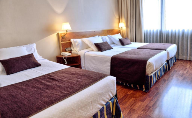 Hotel HLG CityPark Pelayo
