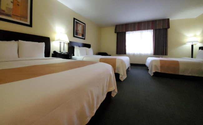 Quality Inn & Suites Anaheim at the Park
