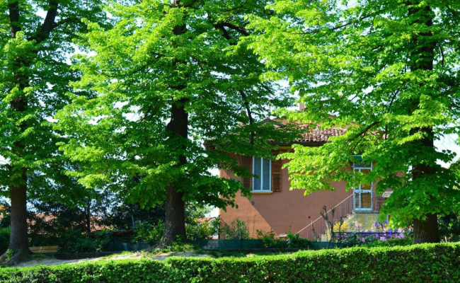 Il Giardino Nel Parco