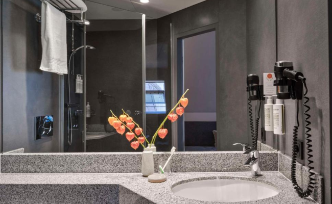Flemings Hotel Frankfurt-Central