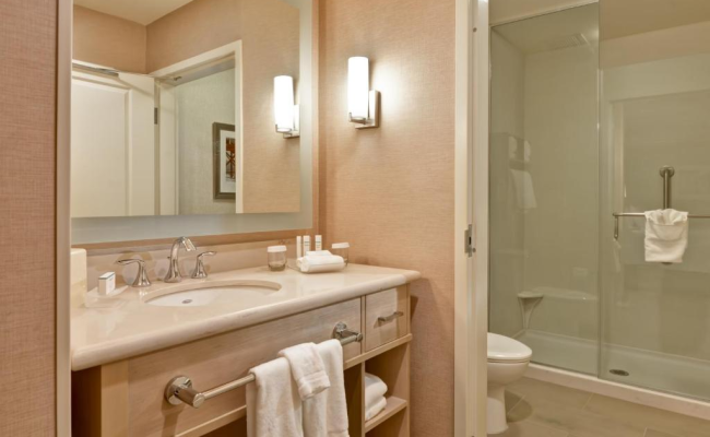 Homewood Suites by Hilton Anaheim Conv Ctr/Disneyland Main