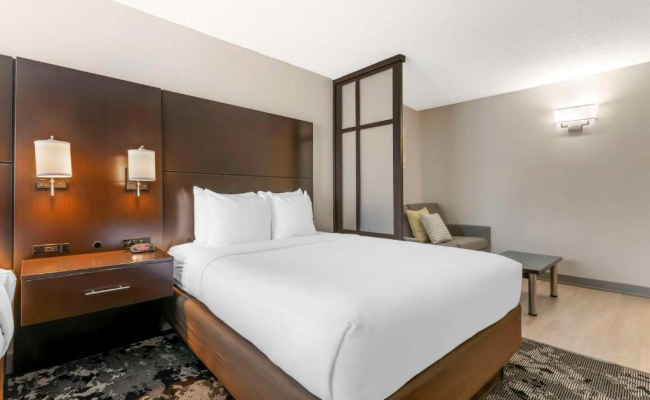 Comfort Inn & Suites Near Universal Orlando Resort-Convention Ctr