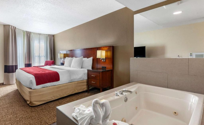 Comfort Inn & Suites Geneva- West Chicago