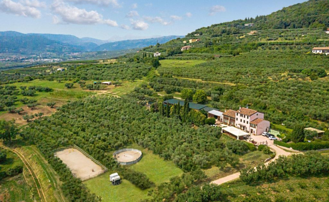 Agriturismo Casa Rosa