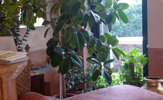 Hotel Borghetti
