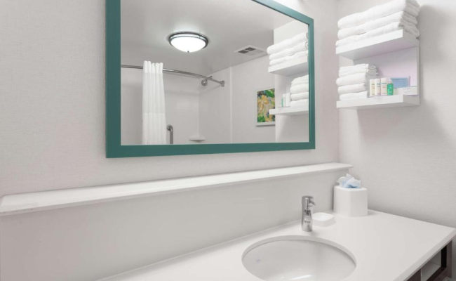 Hampton Inn Orlando-Convention Center International Drive Area