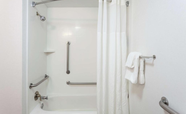 Hampton Inn Orlando-Convention Center International Drive Area
