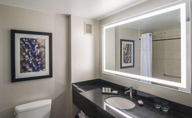 Embassy Suites by Hilton Chicago Downtown Magnificent Mile