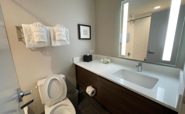 Holiday Inn Hotel & Suites Chicago - Downtown by IHG