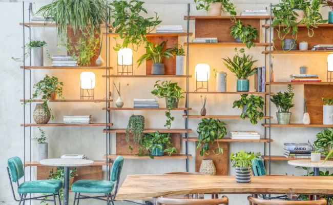 Hotel Alameda, Highline