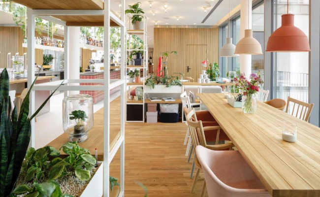 Zoku Vienna