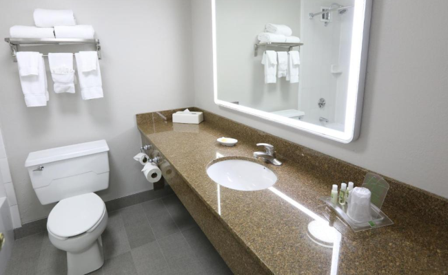 Holiday Inn O'Hare Area by IHG