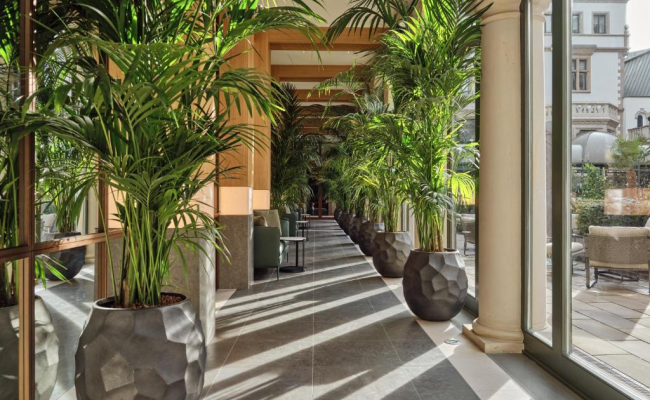 The Florentin by Althoff Collection