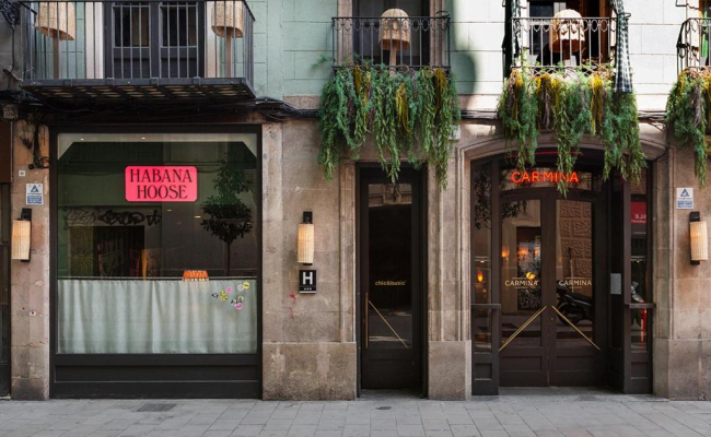 chic&basic Habana Hoose