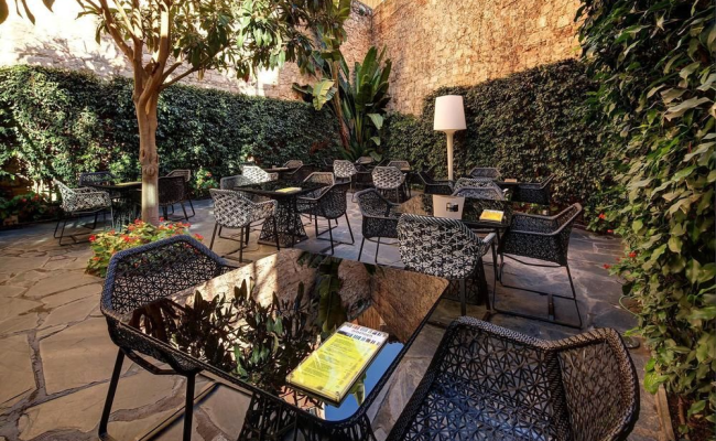 Olivia Plaza Hotel