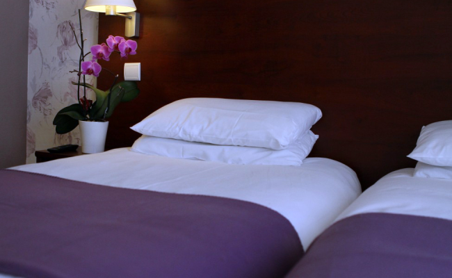 Hotel Alane
