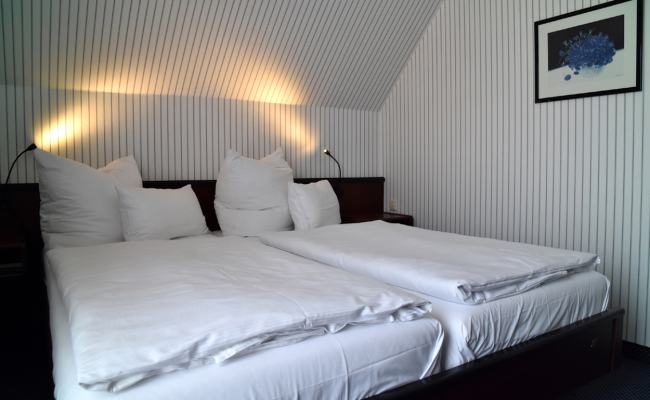 Hotel Buchholz