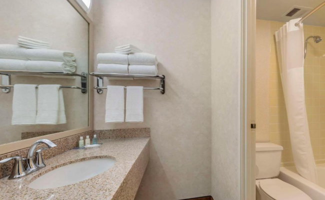 Clarion Hotel Anaheim Resort