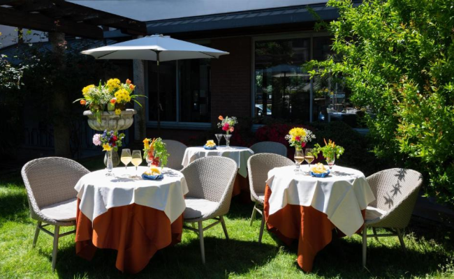 Hotel Sunflower