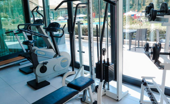 ibis Styles Milano Est Settala