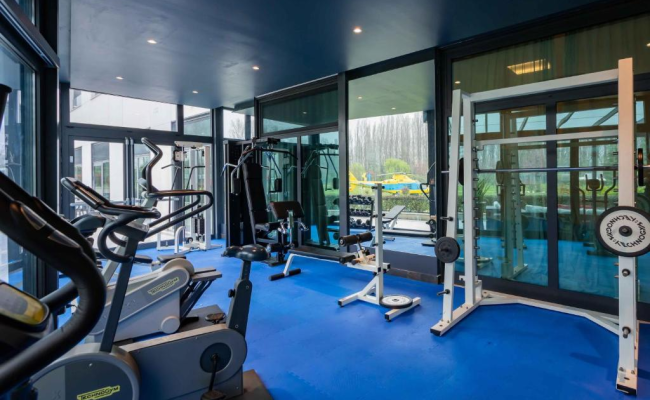 ibis Styles Milano Est Settala