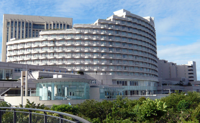 Hotel Nikko Tokyo