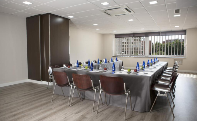 Hotel Chamartin The One